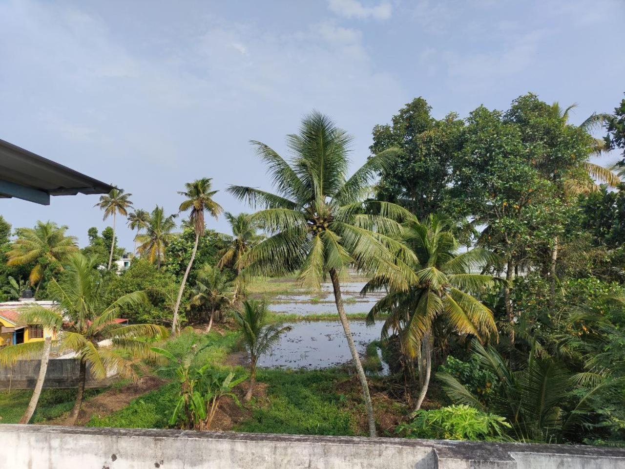 Paddy N Canal Homestay Alappuzha Extérieur photo