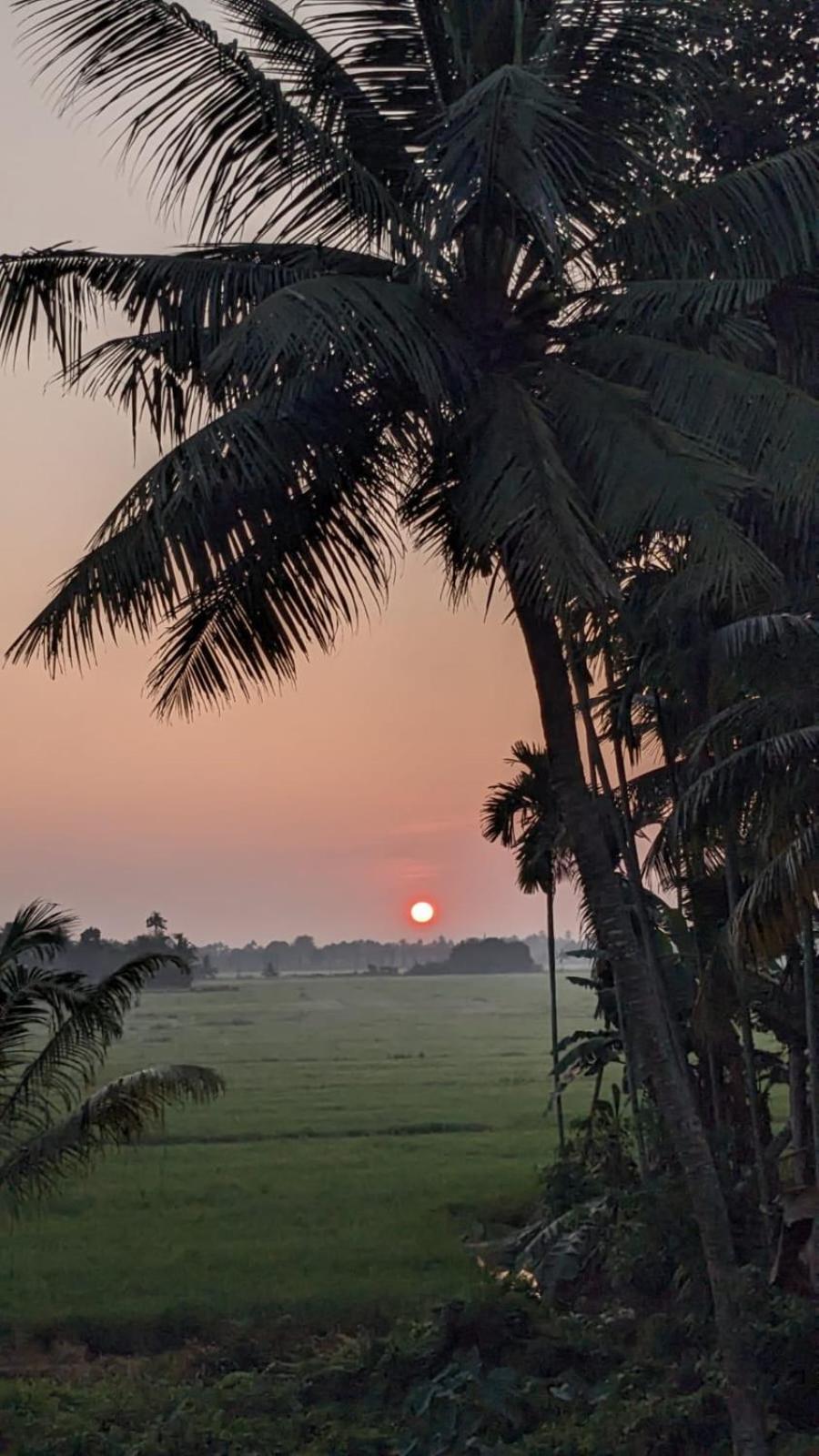 Paddy N Canal Homestay Alappuzha Extérieur photo